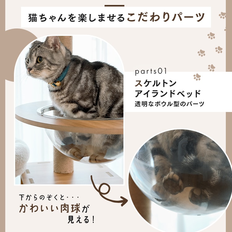 ̂ڂAX`bN^[b nC^Cv _1