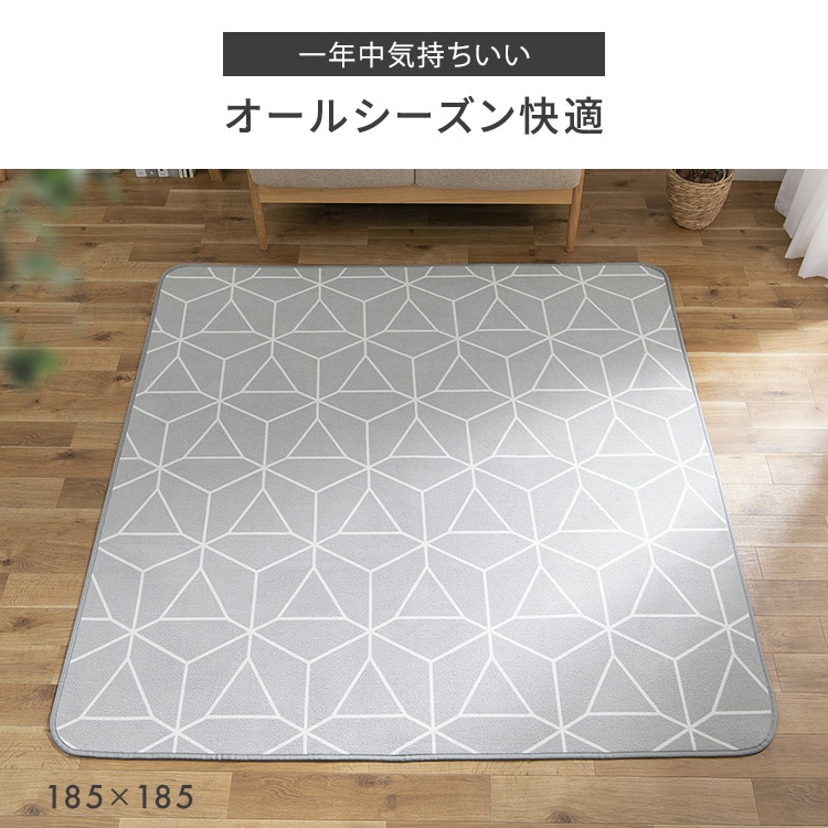 \tgpCO130~185p_[NO[_13