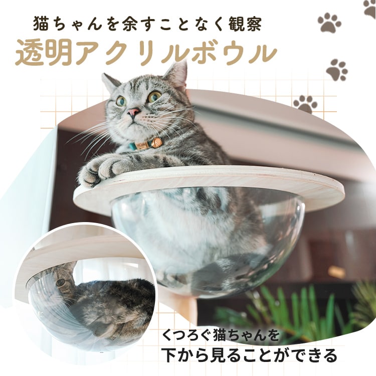 ˒AX`bN^[bnbN_2