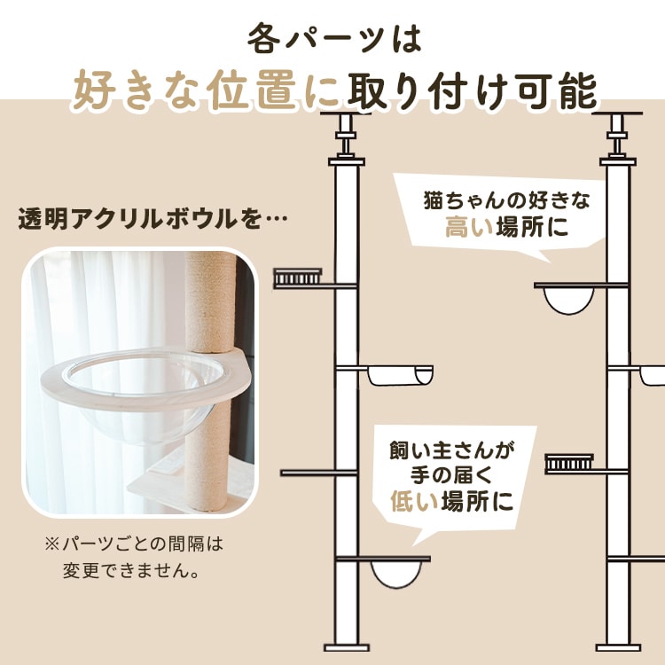 ˒AX`bN^[bnbN_6