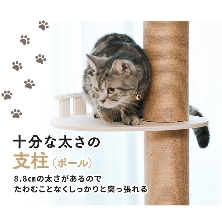 ˒AX`bN^[bnbN_7