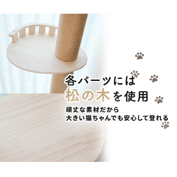 ˒AX`bN^[bnbN_8