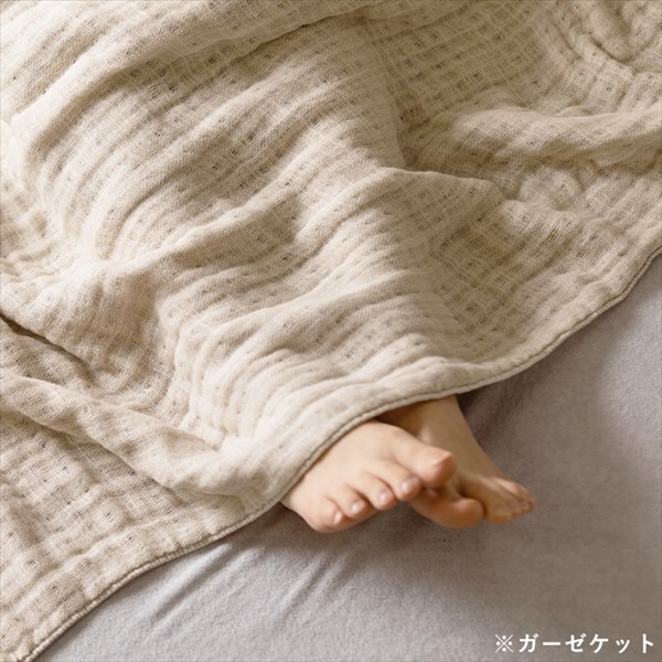 ɗD⊴Zbgb[+8dK[[PbgbVObBOXV[c/Vo[O[_13