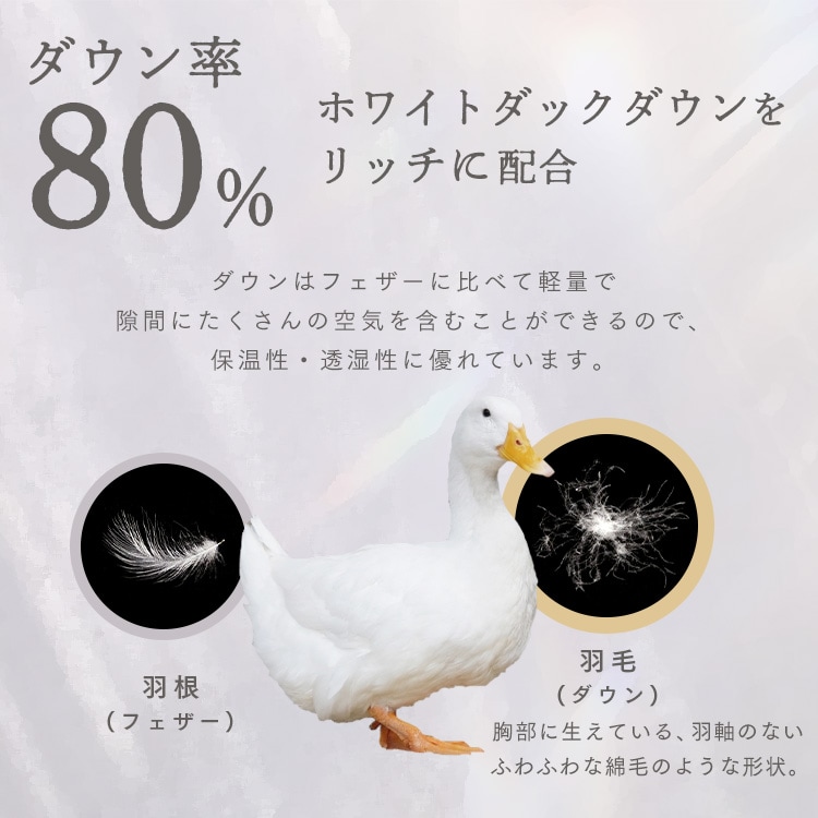ダウン80%羽毛掛け布団|シングルロング|グレー_3