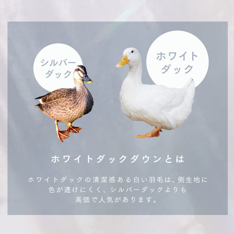 ダウン80%羽毛掛け布団|シングルロング|グレー_4