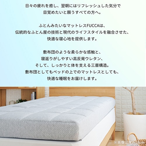 Fucca ӂƂ񉮂}bgX O[ 12cm N2407M12D-GY _u_14