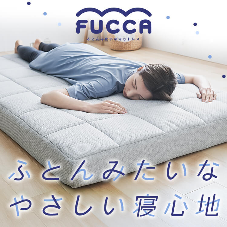 Fucca ӂƂ񉮂}bgX O[ 12cm N2407M12D-GY _u_1