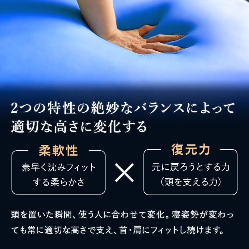 VBlueBlood 3D̊s[_2