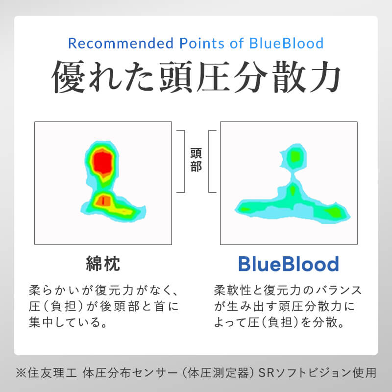 VBlueBlood 3D̊s[_3