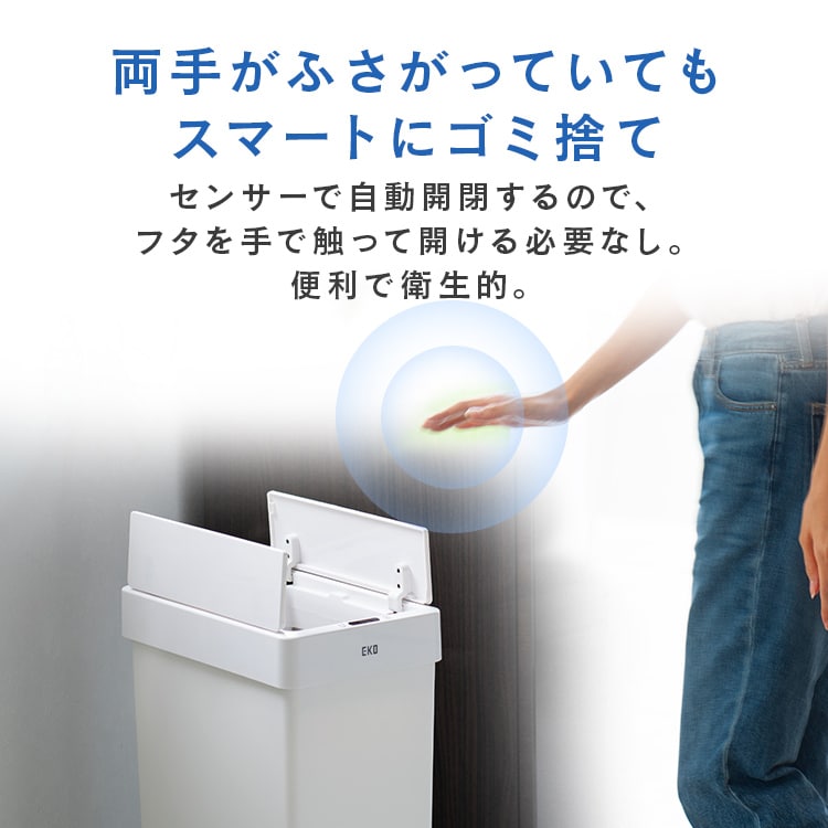 EKOJAPANb_Xg{bNXbZT[b30LbzCg_1