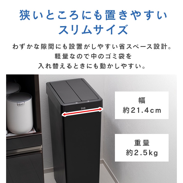 EKOJAPANb_Xg{bNXbZT[b30LbzCg_2