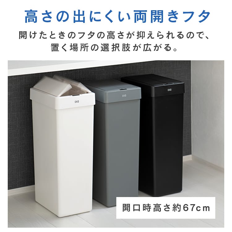 EKOJAPANb_Xg{bNXbZT[b30LbzCg_3