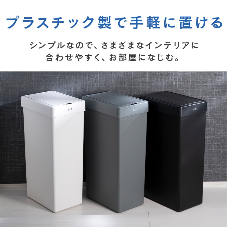 EKOJAPANb_Xg{bNXbZT[b30LbzCg_4