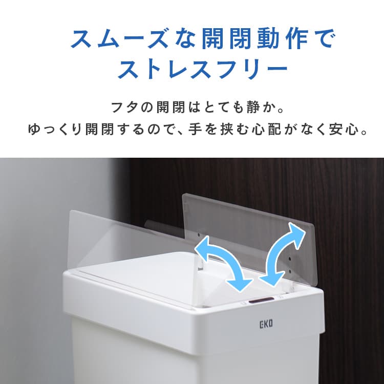 EKOJAPANb_Xg{bNXbZT[b30LbzCg_5