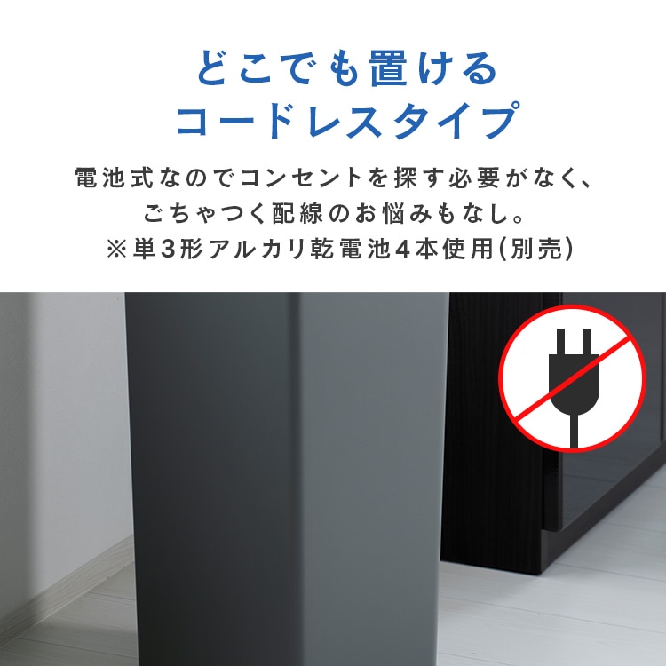 EKOJAPANb_Xg{bNXbZT[b30LbzCg_6