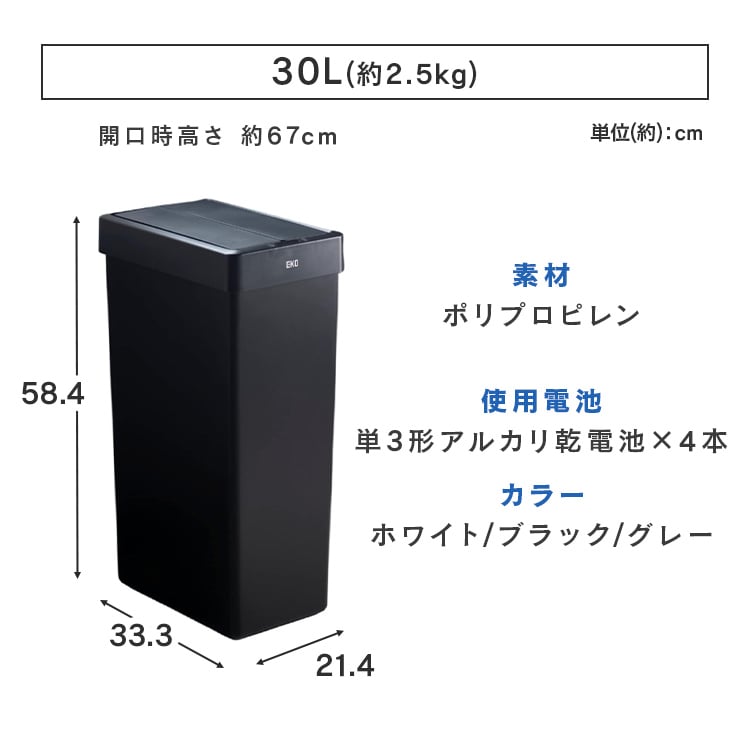 EKOJAPANb_Xg{bNXbZT[b30LbzCg_7