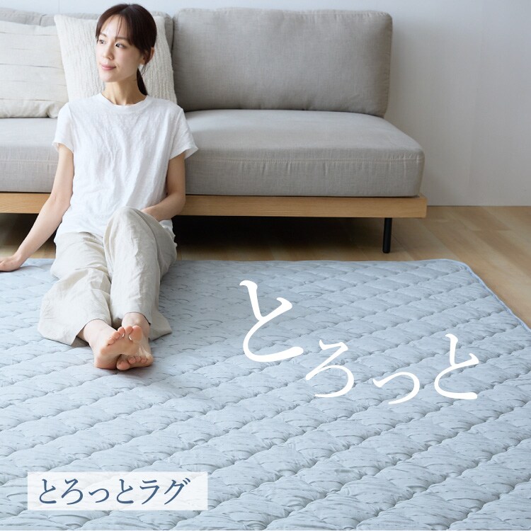 ƂЂ⃉Ob185~235cmbu[O[_1
