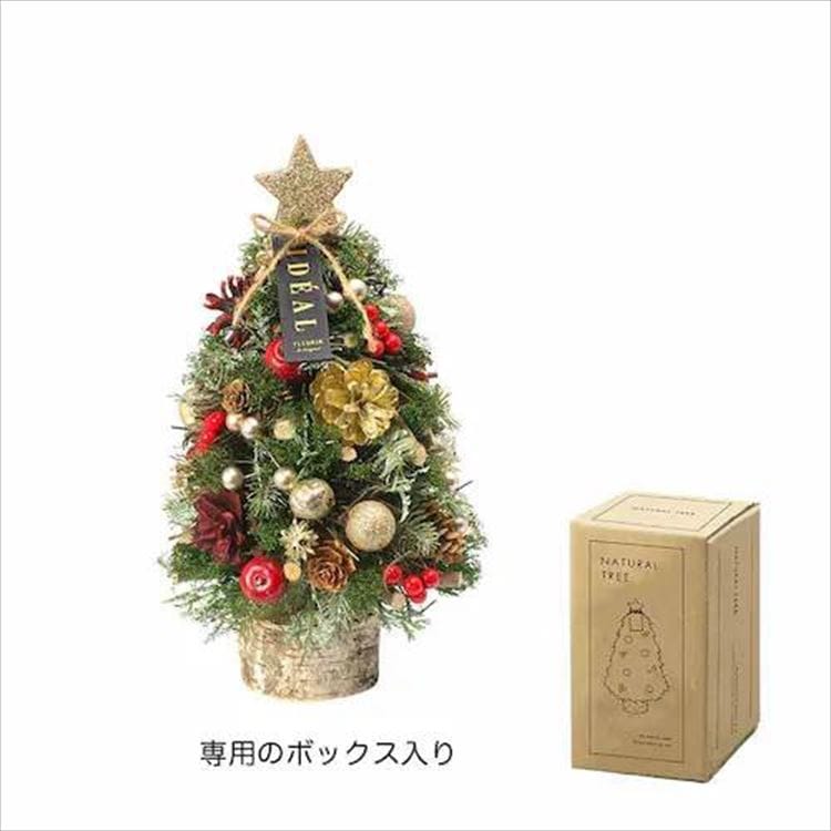 P[EC[EAC NX}Xi`c[IuWFby[i`_3