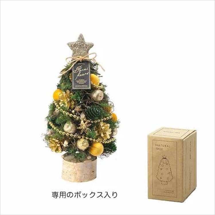 P[EC[EAC NX}Xi`c[IuWFby[i`_4