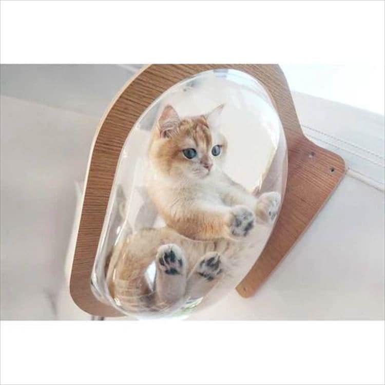 AURA���̓L���b�g�x�b�h MZ0004 _3