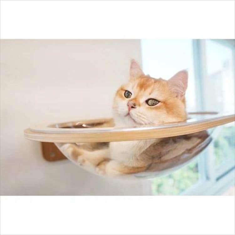 AURA���̓L���b�g�x�b�h MZ0004 _4