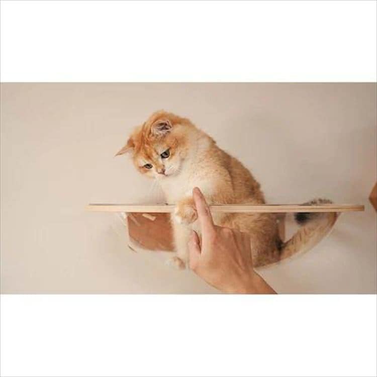 AURA���̓L���b�g�x�b�h MZ0004 _6