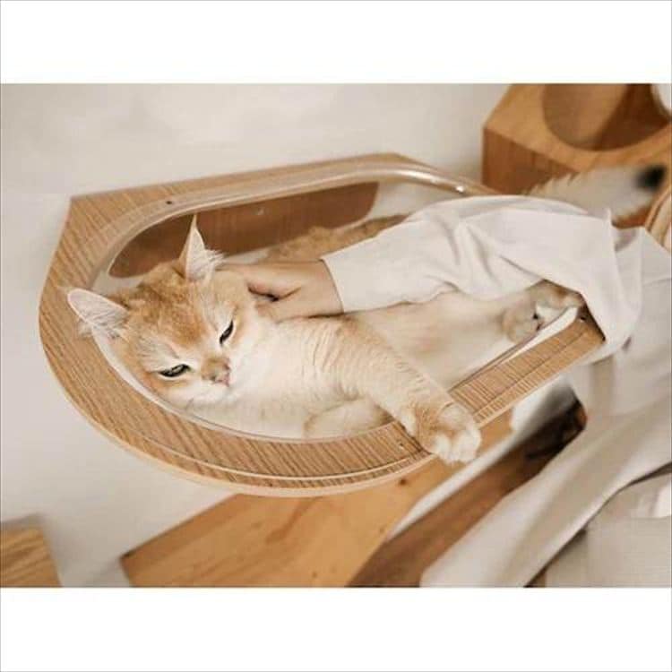 AURA���̓L���b�g�x�b�h MZ0004 _8