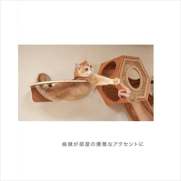 AURA���̓L���b�g�x�b�h MZ0004 _9