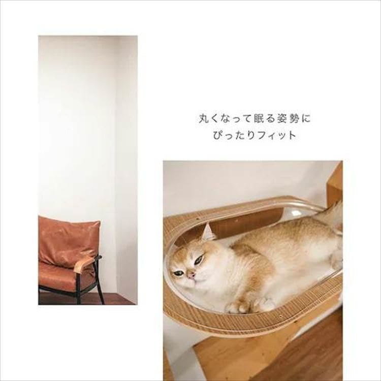 AURA���̓L���b�g�x�b�h MZ0004 _12