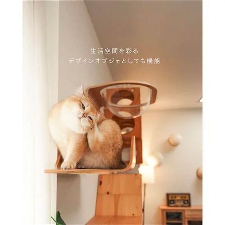 AURA���̓L���b�g�x�b�h MZ0004 _13