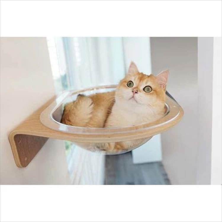 AURA���̓L���b�g�x�b�h MZ0004 _16