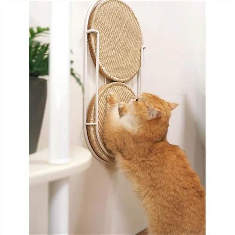 LOCUS 円形爪研ぎボード MZ0005 _3