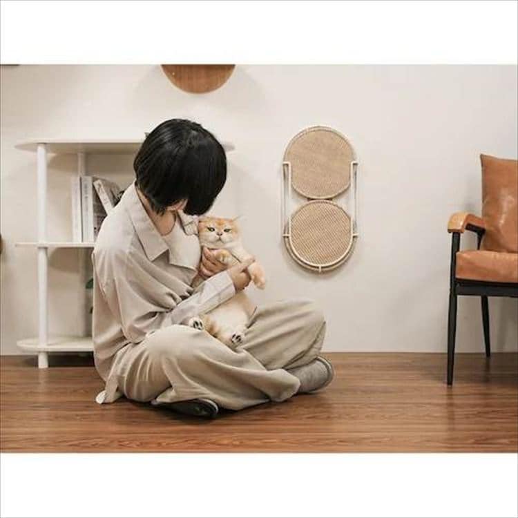 LOCUS 円形爪研ぎボード MZ0005 _4