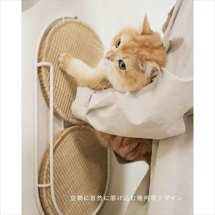 LOCUS 円形爪研ぎボード MZ0005 _9