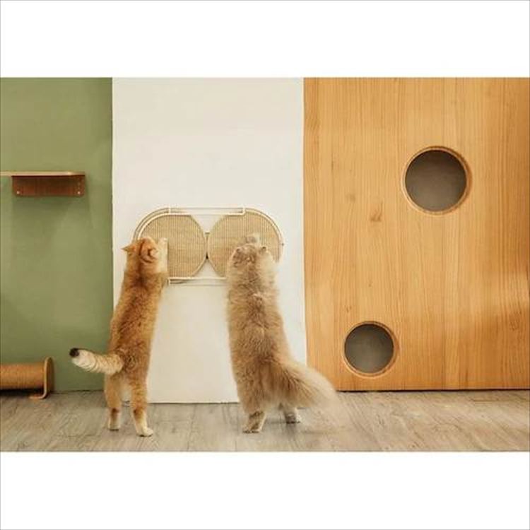 LOCUS 円形爪研ぎボード MZ0005 _15