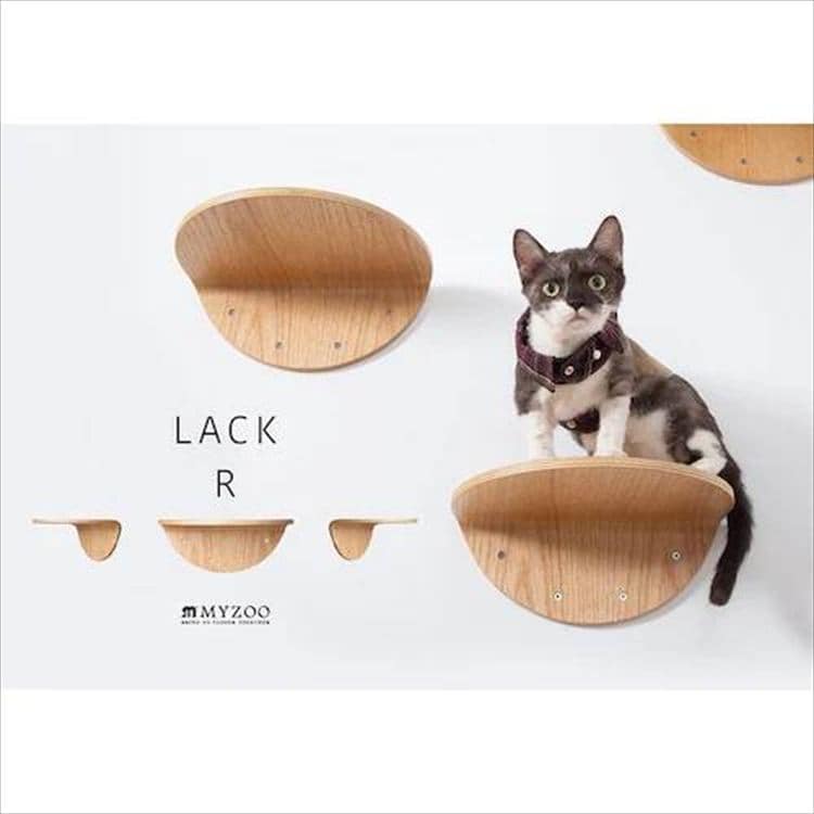 ROUNDLACK �L���b�g�X�e�b�v ���~�` �ؖڒ� MZ0019 _3