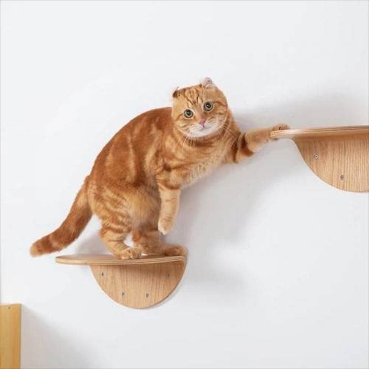 ROUNDLACK �L���b�g�X�e�b�v ���~�` �ؖڒ� MZ0019 _6