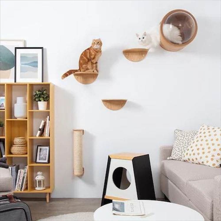 ROUNDLACK �L���b�g�X�e�b�v ���~�` �ؖڒ� MZ0019 _8