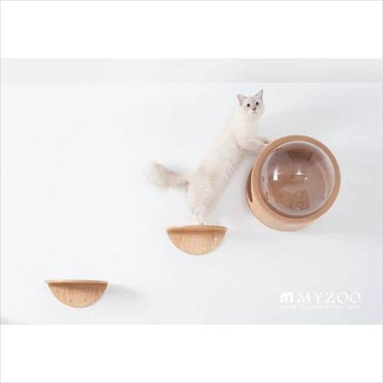 ROUNDLACK �L���b�g�X�e�b�v ���~�` �ؖڒ� MZ0019 _9