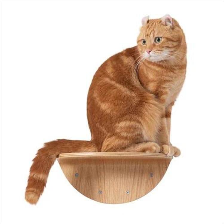 ROUNDLACK �L���b�g�X�e�b�v ���~�` �ؖڒ� MZ0019 _10