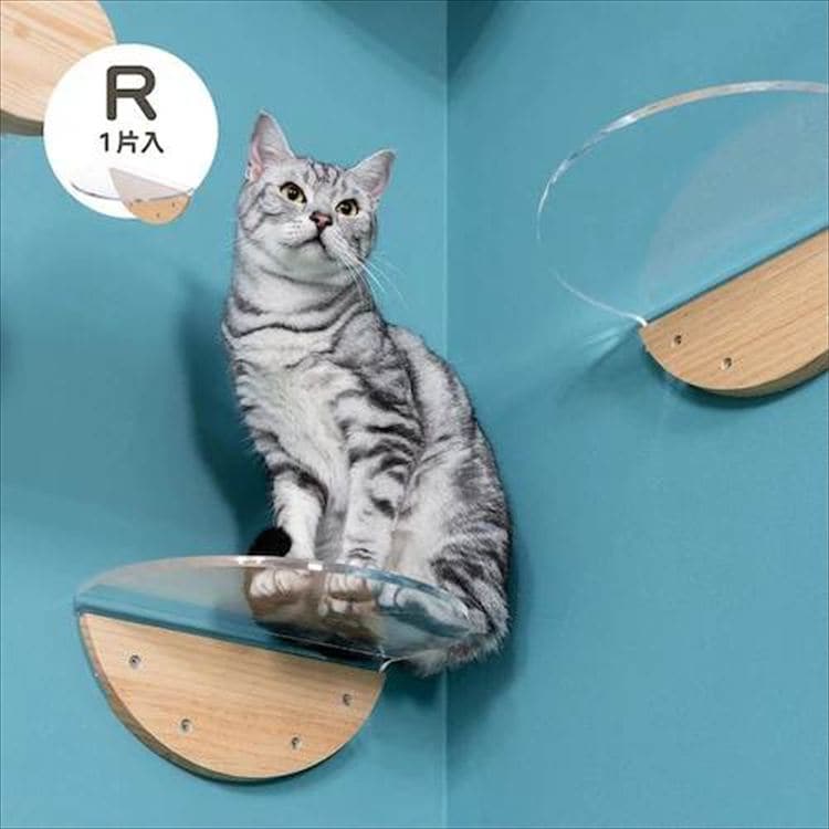 ROUNDLACK �L���b�g�X�e�b�v ���~�` �ؖڒ� MZ0019 _11