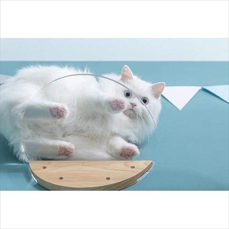 ROUNDLACK �L���b�g�X�e�b�v ���~�` �ؖڒ� MZ0019 _12