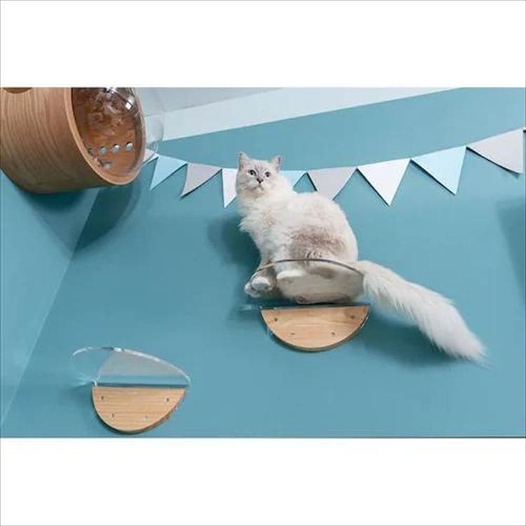 ROUNDLACK �L���b�g�X�e�b�v ���~�` �ؖڒ� MZ0019 _13