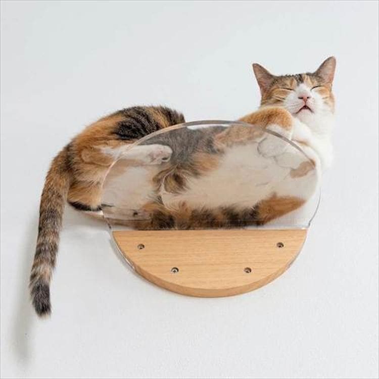 ROUNDLACK �L���b�g�X�e�b�v ���~�` �ؖڒ� MZ0019 _14