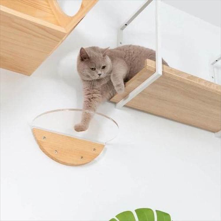 ROUNDLACK �L���b�g�X�e�b�v ���~�` �ؖڒ� MZ0019 _15