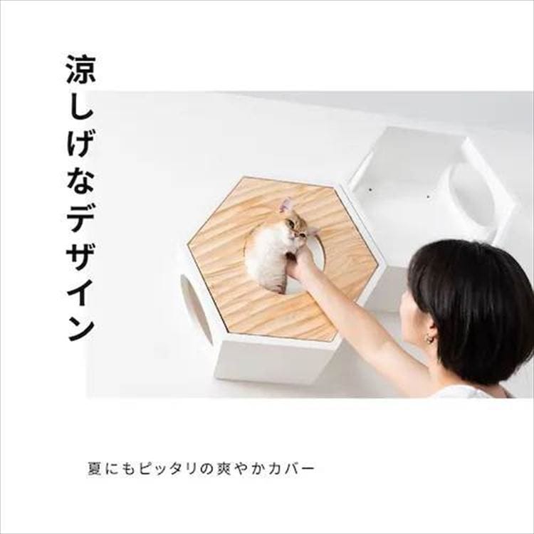 �Z�p�n�E�X�J�o�[ �E�F�[�u  MZ0021 _2