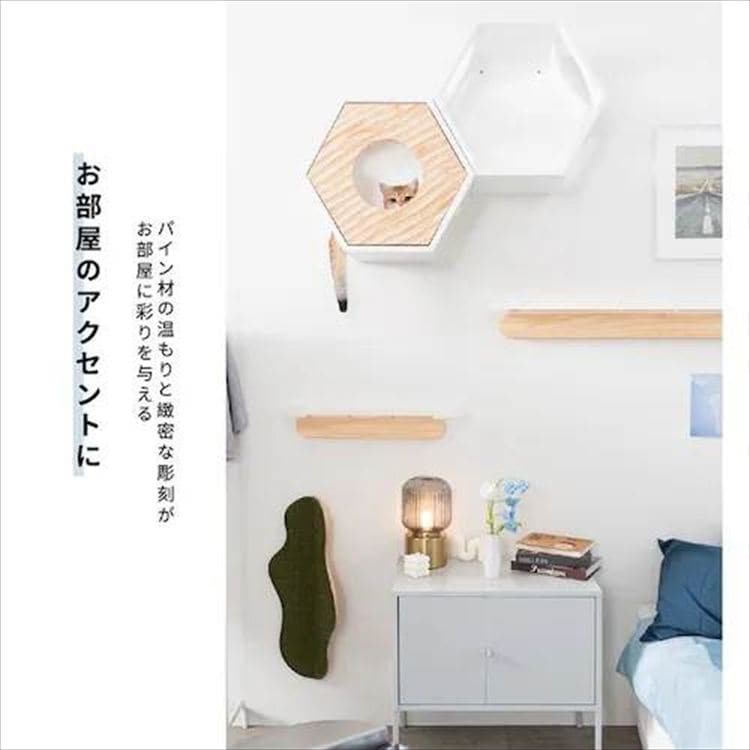 �Z�p�n�E�X�J�o�[ �E�F�[�u  MZ0021 _3