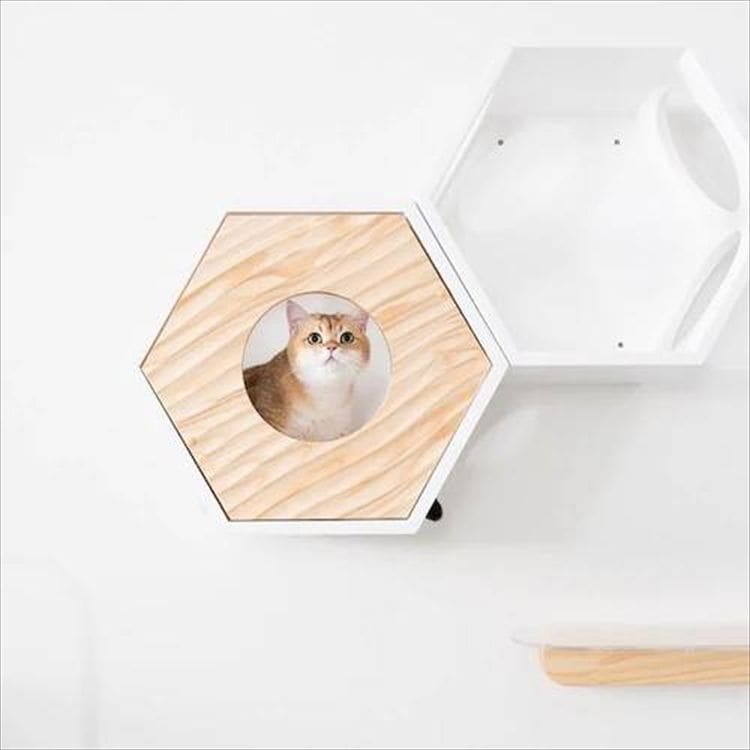 �Z�p�n�E�X�J�o�[ �E�F�[�u  MZ0021 _5