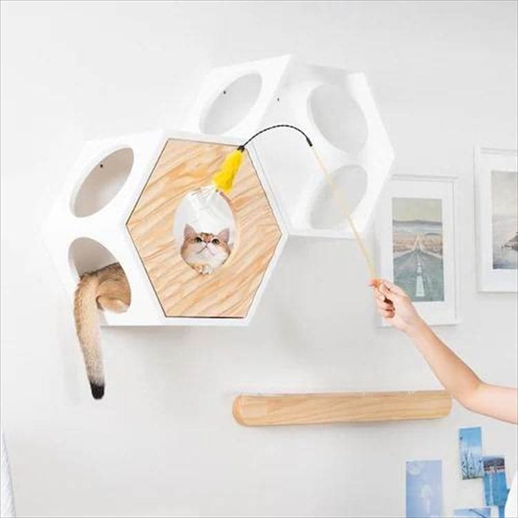 �Z�p�n�E�X�J�o�[ �E�F�[�u  MZ0021 _6