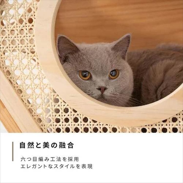 �Z�p�n�E�X�J�o�[ �E�F�[�u  MZ0021 _9